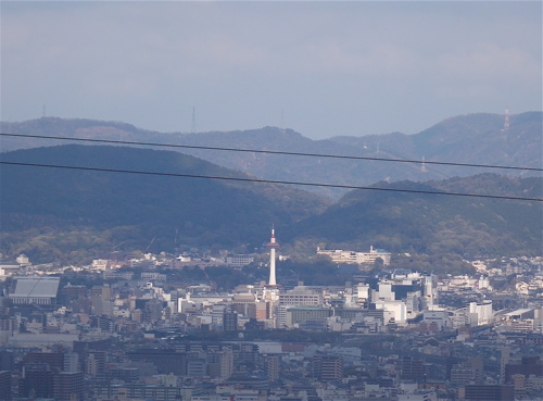 a0164011_1224324.jpg