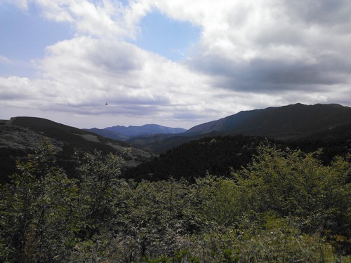 e0077915_16134311.jpg