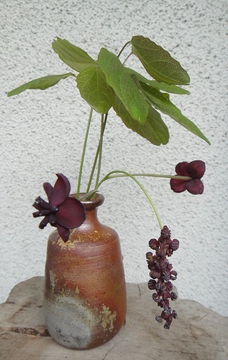 f0000521_20400118.jpg