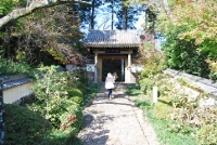 d0006323_16345589.jpg