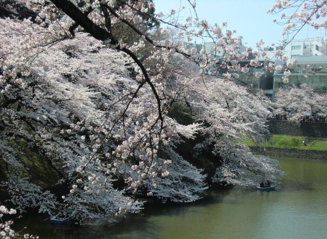 c0095424_946321.jpg