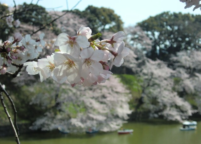 c0095424_947826.jpg