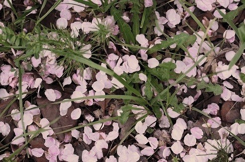 c0235725_20565981.jpg