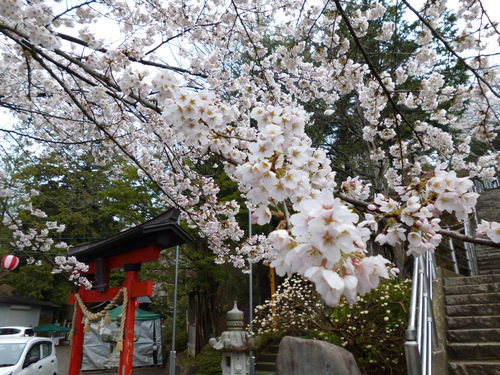 f0304030_8215673.jpg