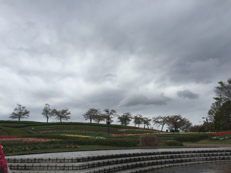 b0127531_14412118.jpg