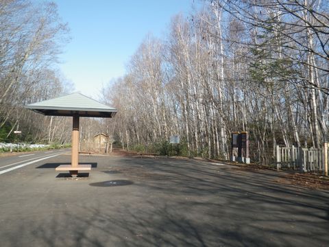 e0026331_8332947.jpg