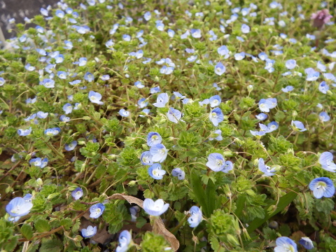 f0118332_23175155.jpg