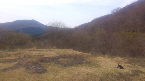 c0300035_10554672.jpg