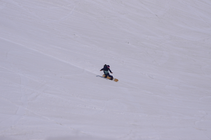 d0231339_20495732.jpg