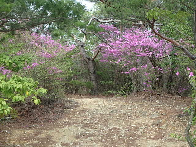 f0334143_9392349.jpg