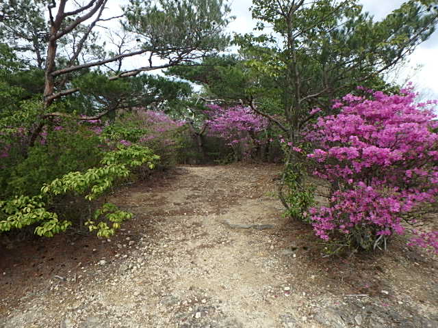 f0334143_9393431.jpg