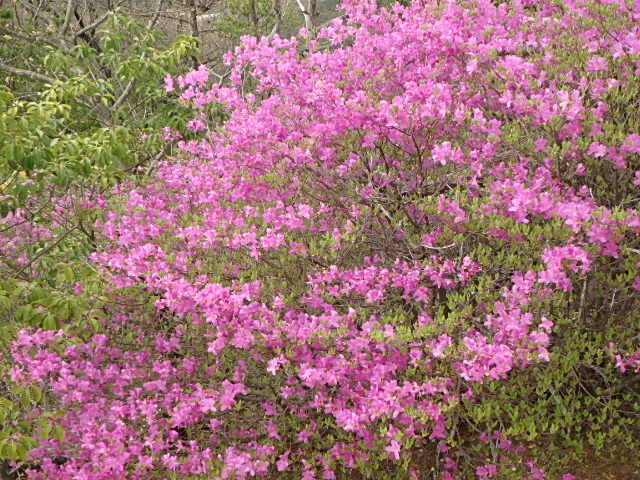 f0334143_939941.jpg