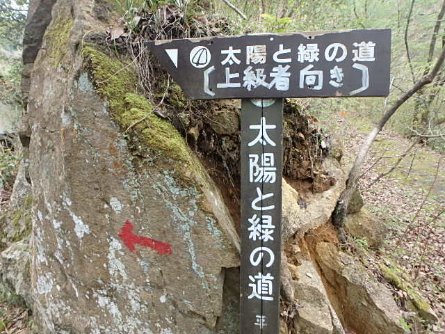 f0334143_9422855.jpg