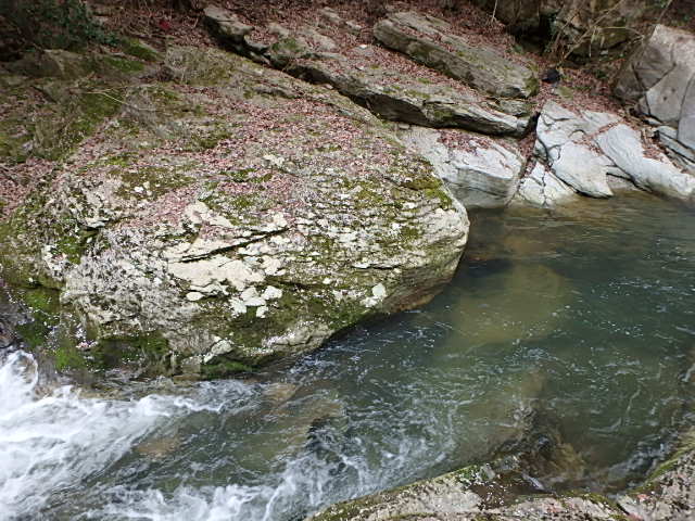 f0334143_94253100.jpg