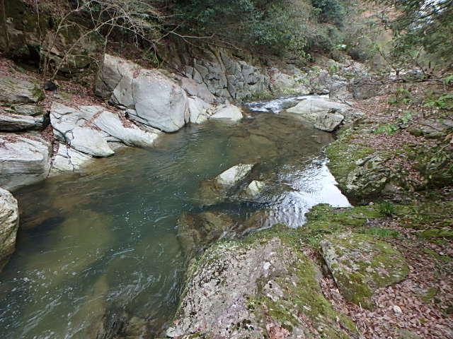 f0334143_943827.jpg