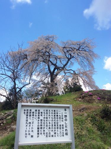 f0191444_15223782.jpg