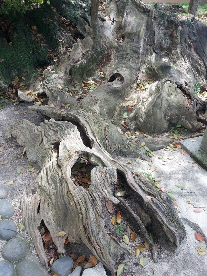 f0073848_14345164.jpg