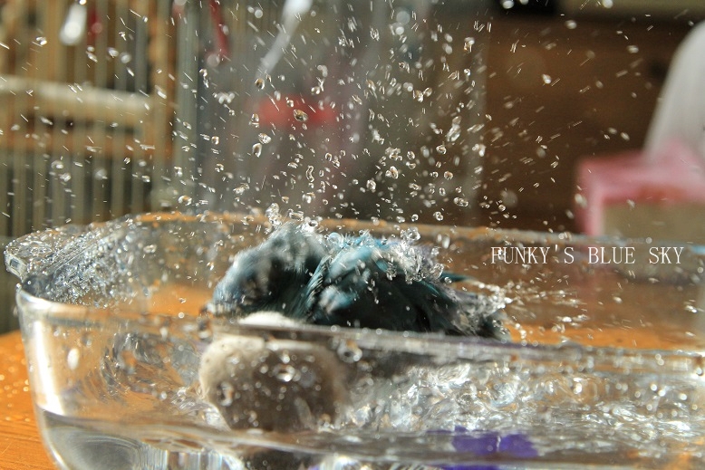 c0145250_201617100.jpg