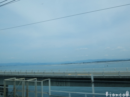 d0118050_11433457.jpg