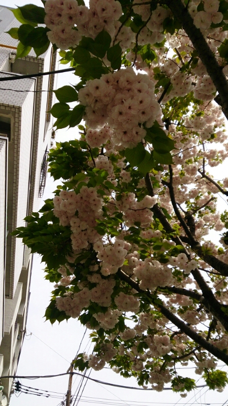 b0223370_0352239.jpg