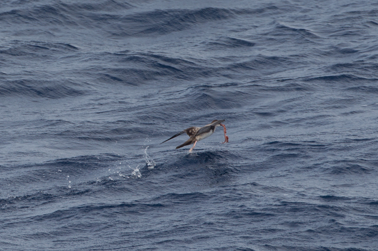 a0052080_18032004.jpg