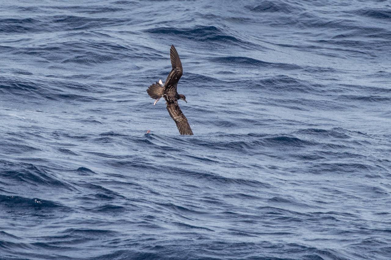 a0052080_18032030.jpg