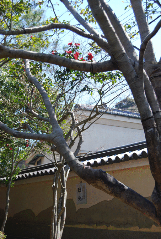 b0159780_1126949.gif