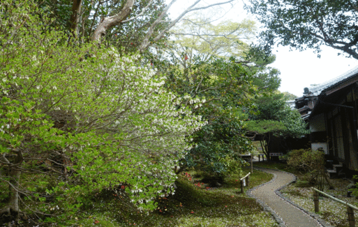 b0159780_9263548.gif