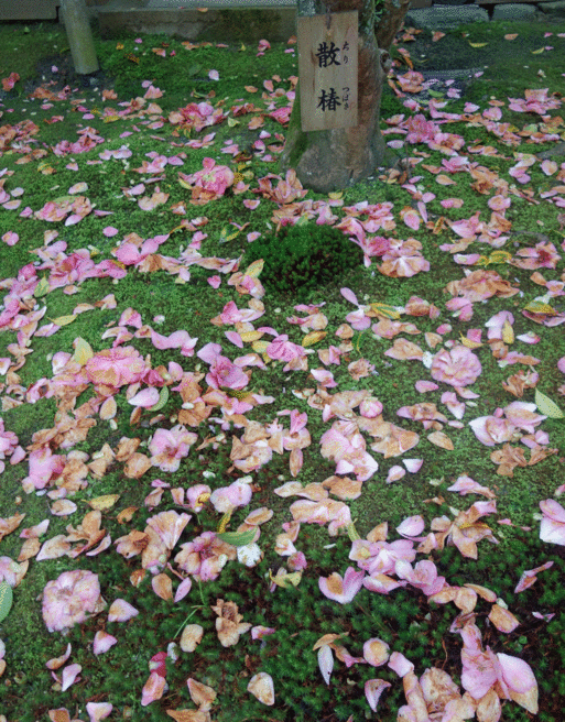 b0159780_9302087.gif