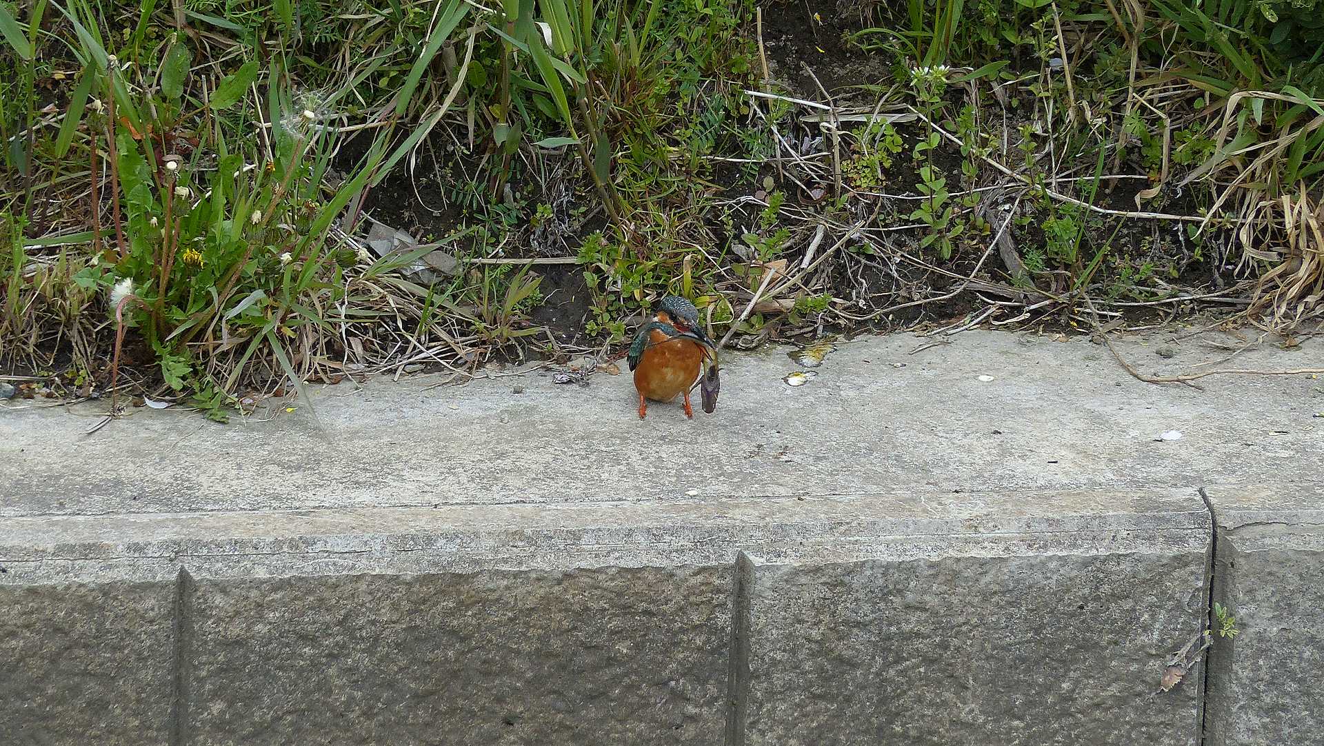 a0185081_11294332.jpg