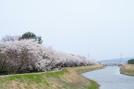 f0345284_18240997.jpg