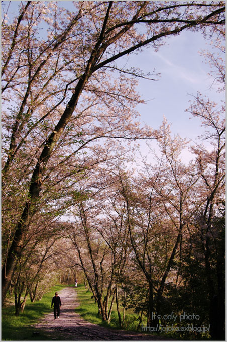 e0008800_19281644.jpg