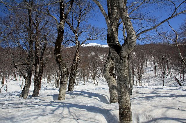 e0137200_21212220.jpg