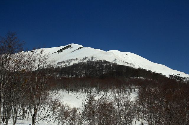 e0137200_2121779.jpg