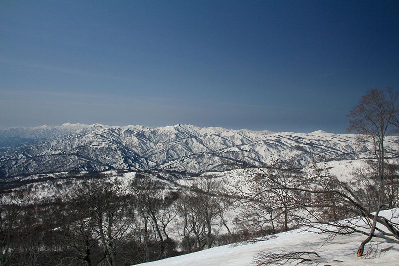 e0137200_21221949.jpg