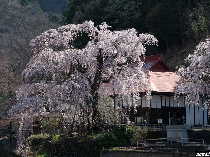 f0224100_2139101.jpg