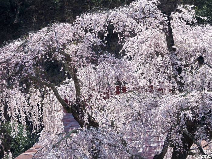 f0224100_21525047.jpg