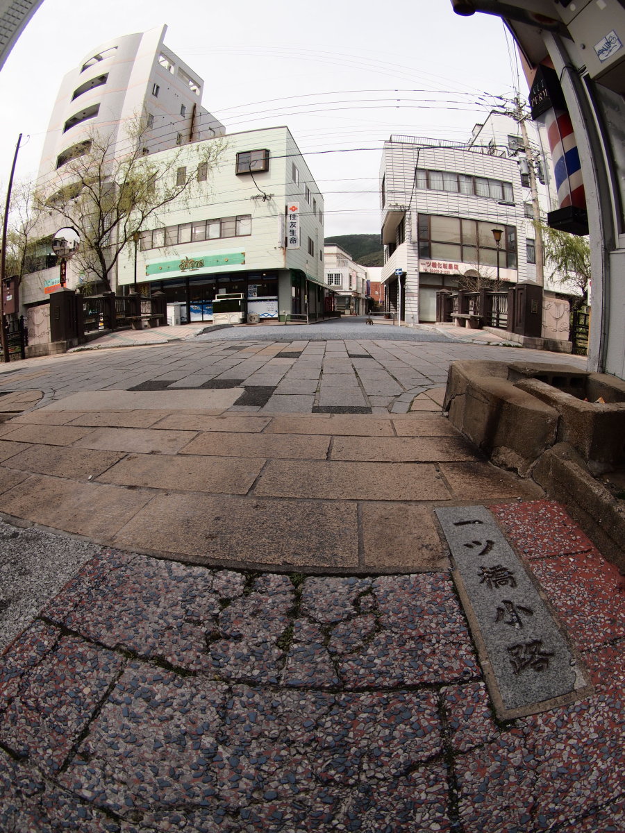 b0165802_712999.jpg