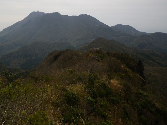 f0187402_20102138.jpg