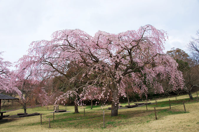 a0263109_10201215.jpg