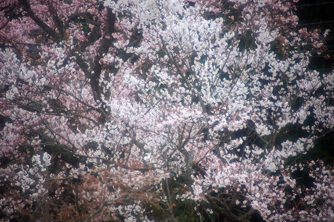 a0263109_10241567.jpg