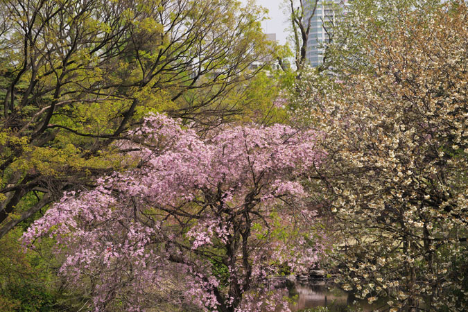 a0263109_12371562.jpg