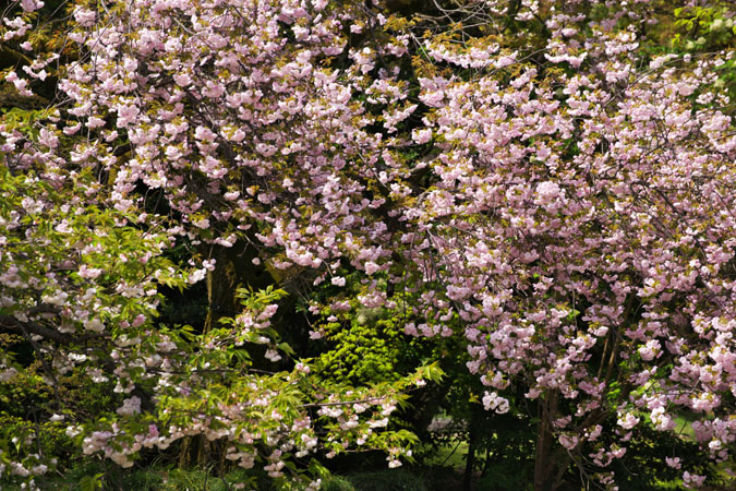 a0263109_12431715.jpg