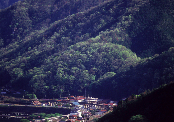 d0309612_2263714.jpg