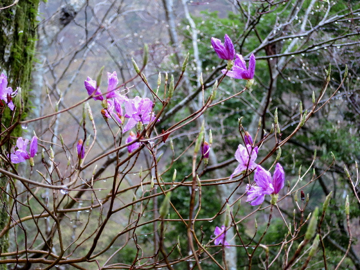 f0103126_20482122.jpg