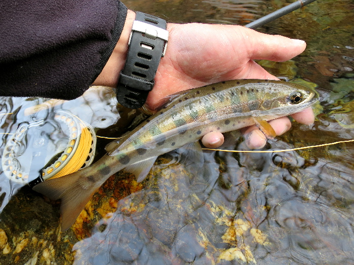f0103126_20493539.jpg