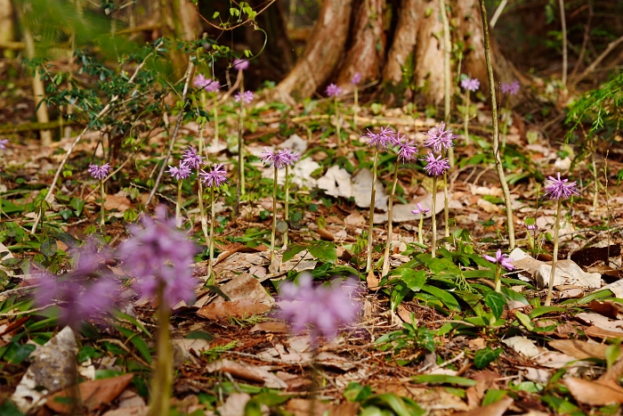 b0236334_16401412.jpg