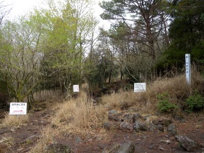 e0272335_19572027.jpg