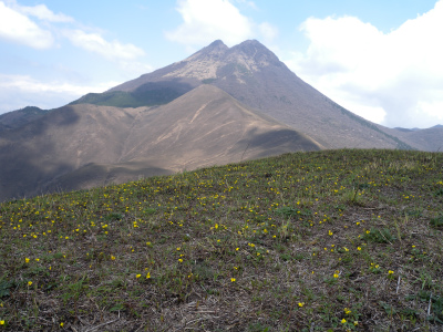 e0272335_21165267.jpg
