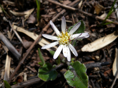 e0272335_2119264.jpg